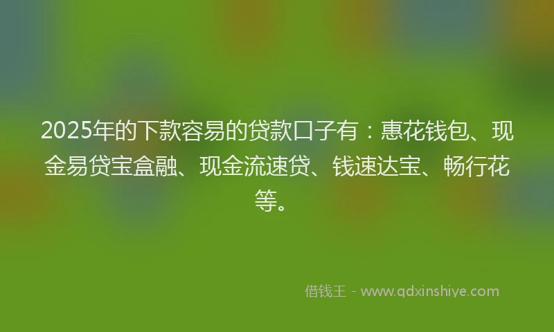 2025年的下款容易的贷款口子有：惠花钱包、现金易贷宝盒融、现金流速贷、钱速达宝、畅行花等。