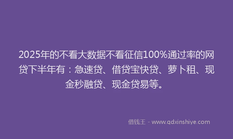 2025年的不看大数据不看征信100%通过率的网贷下半年有：急速贷、借贷宝快贷、萝卜租、现金秒融贷、现金贷易等。