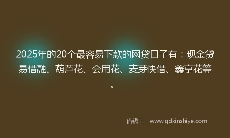 2025年的20个最容易下款的网贷口子有：现金贷易借融、葫芦花、会用花、麦芽快借、鑫享花等。