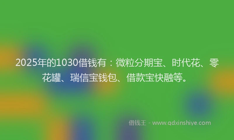 2025年的1030借钱有：微粒分期宝、时代花、零花罐、瑞信宝钱包、借款宝快融等。