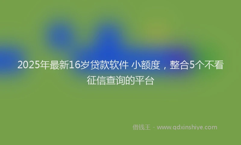 2025年最新16岁贷款软件 小额度，整合5个不看征信查询的平台