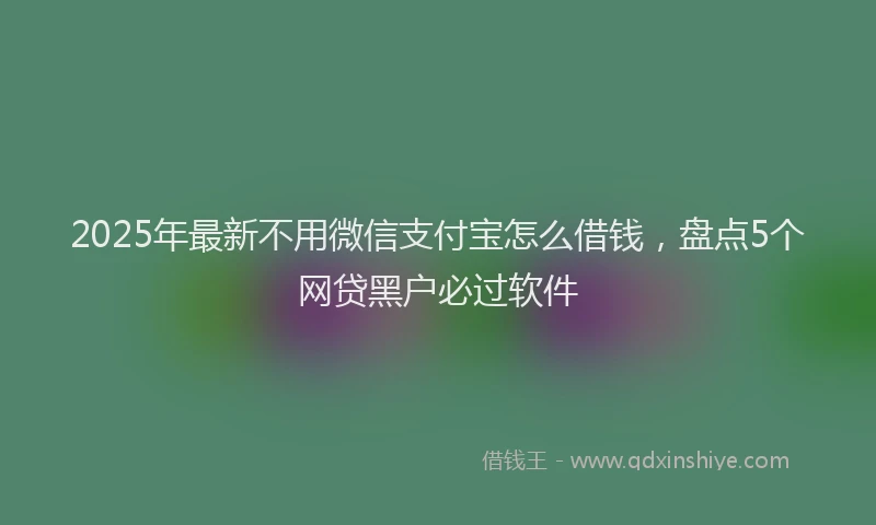 2025年最新不用微信支付宝怎么借钱，盘点5个网贷黑户必过软件