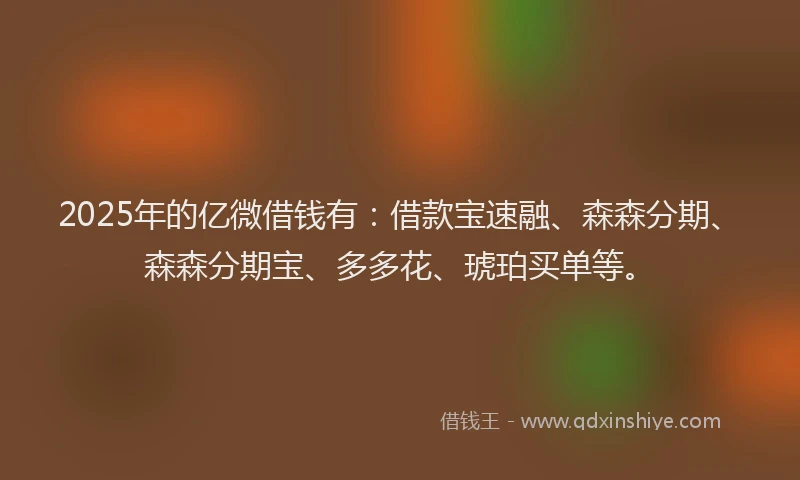 2025年的亿微借钱有：借款宝速融、森森分期、森森分期宝、多多花、琥珀买单等。