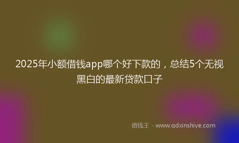 2025年小额借钱app哪个好下款的，总结5个无视黑白的最新贷款口子