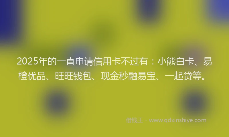 2025年的一直申请信用卡不过有：小熊白卡、易橙优品、旺旺钱包、现金秒融易宝、一起贷等。