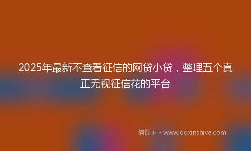 2025年最新不查看征信的网贷小贷，整理五个真正无视征信花的平台