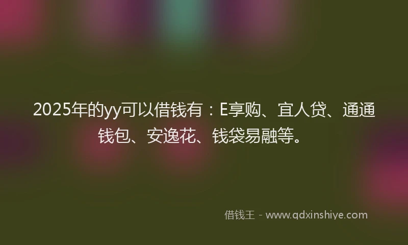 2025年的yy可以借钱有：E享购、宜人贷、通通钱包、安逸花、钱袋易融等。