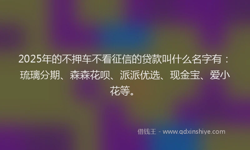 2025年的不押车不看征信的贷款叫什么名字有：琉璃分期、森森花呗、派派优选、现金宝、爱小花等。