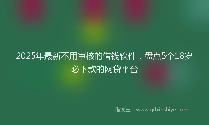 2025年最新不用审核的借钱软件，盘点5个18岁必下款的网贷平台