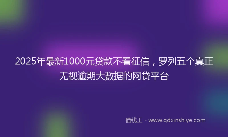 2025年最新1000元贷款不看征信，罗列五个真正无视逾期大数据的网贷平台