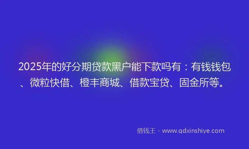 2025年的好分期贷款黑户能下款吗有：有钱钱包、微粒快借、橙丰商城、借款宝贷、固金所等。