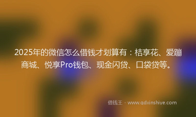 2025年的微信怎么借钱才划算有：桔享花、爱蹦商城、悦享Pro钱包、现金闪贷、口袋贷等。