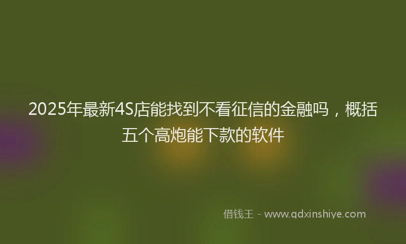 2025年最新4S店能找到不看征信的金融吗，概括五个高炮能下款的软件