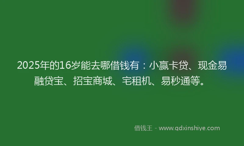 2025年的16岁能去哪借钱有：小赢卡贷、现金易融贷宝、招宝商城、宅租机、易秒通等。
