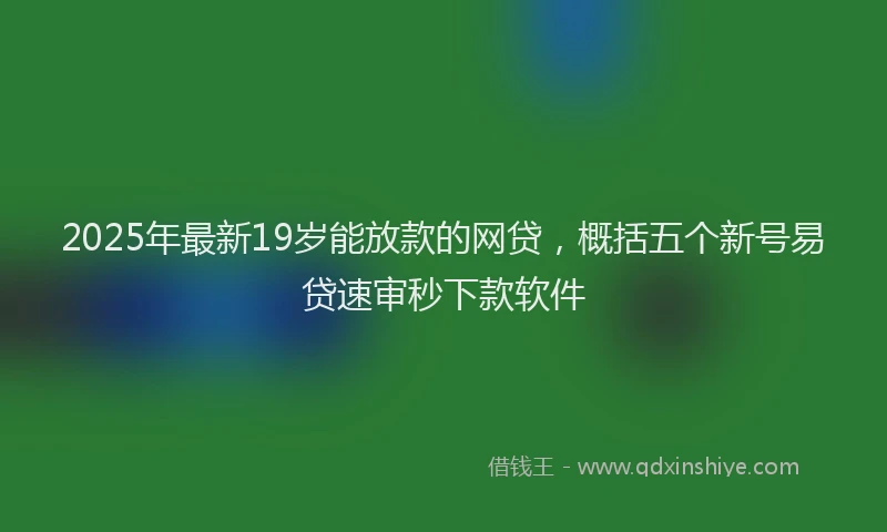 2025年最新19岁能放款的网贷，概括五个新号易贷速审秒下款软件