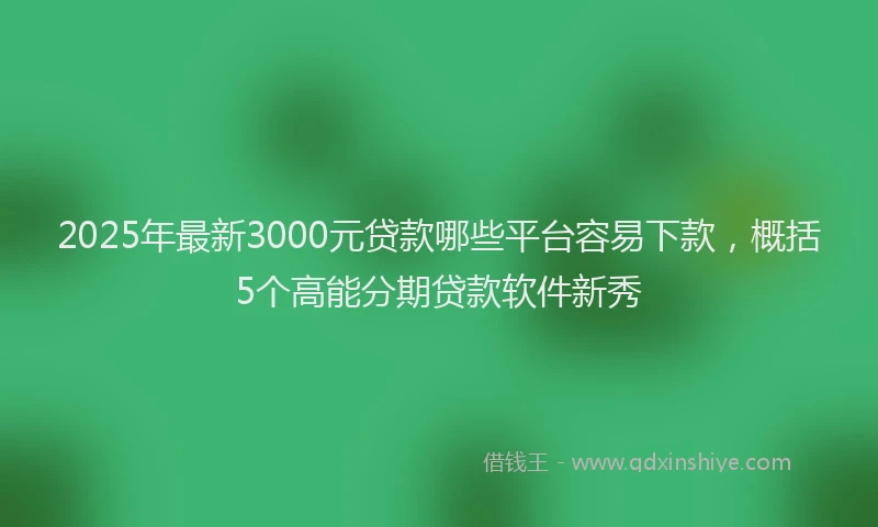 2025年最新3000元贷款哪些平台容易下款，概括5个高能分期贷款软件新秀