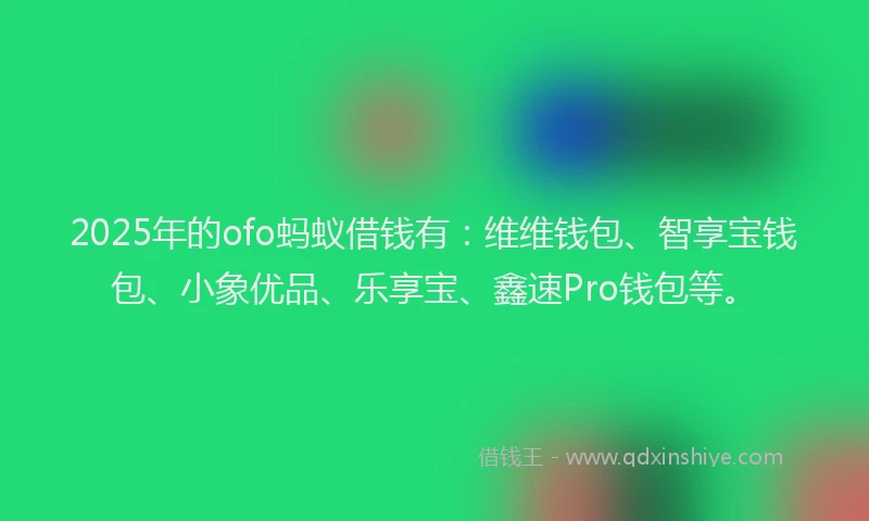 2025年的ofo蚂蚁借钱有：维维钱包、智享宝钱包、小象优品、乐享宝、鑫速Pro钱包等。