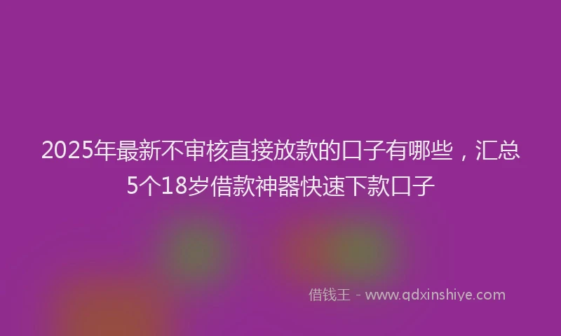 2025年最新不审核直接放款的口子有哪些，汇总5个18岁借款神器快速下款口子