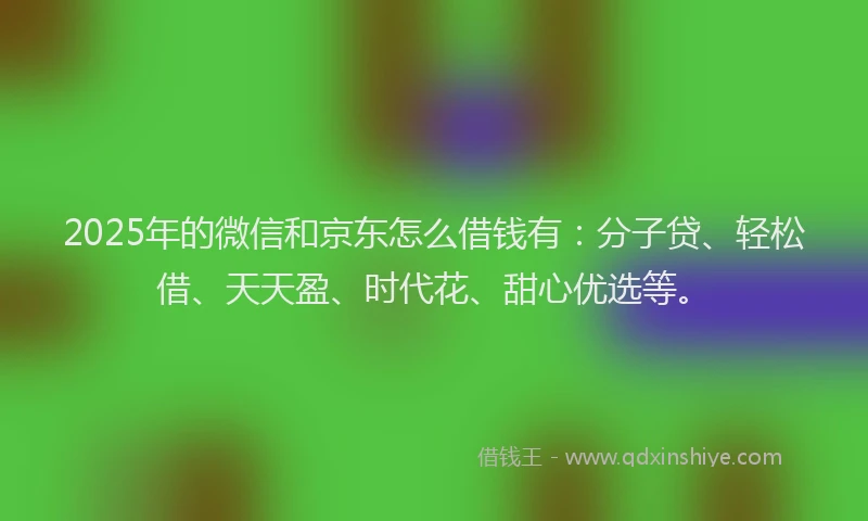 2025年的微信和京东怎么借钱有：分子贷、轻松借、天天盈、时代花、甜心优选等。