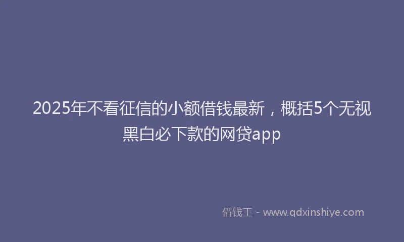 2025年不看征信的小额借钱最新，概括5个无视黑白必下款的网贷app