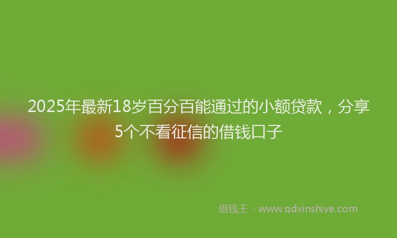 2025年最新18岁百分百能通过的小额贷款，分享5个不看征信的借钱口子