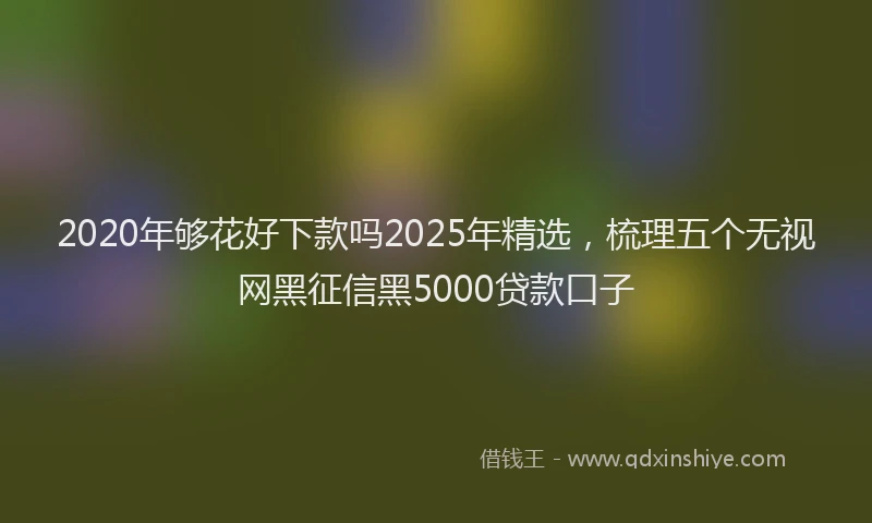 2020年够花好下款吗2025年精选，梳理五个无视网黑征信黑5000贷款口子