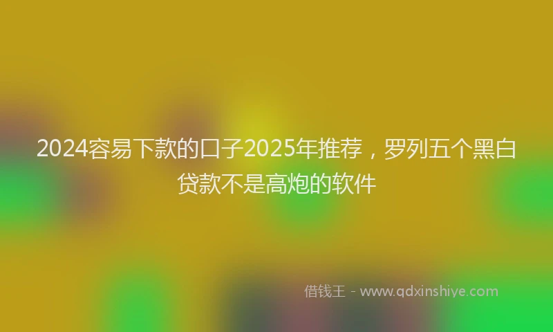 2024容易下款的口子2025年推荐，罗列五个黑白贷款不是高炮的软件