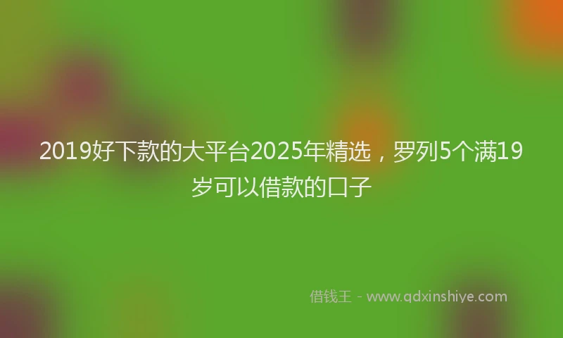 2019好下款的大平台2025年精选，罗列5个满19岁可以借款的口子