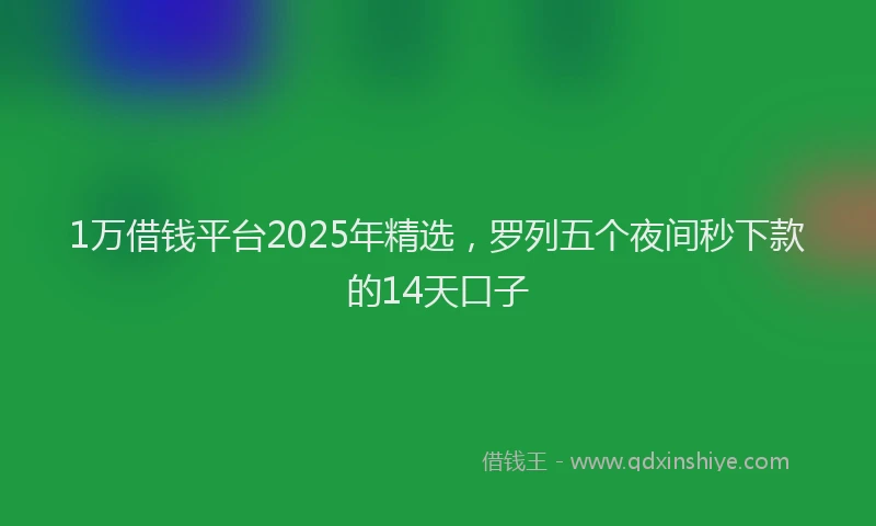 1万借钱平台2025年精选，罗列五个夜间秒下款的14天口子