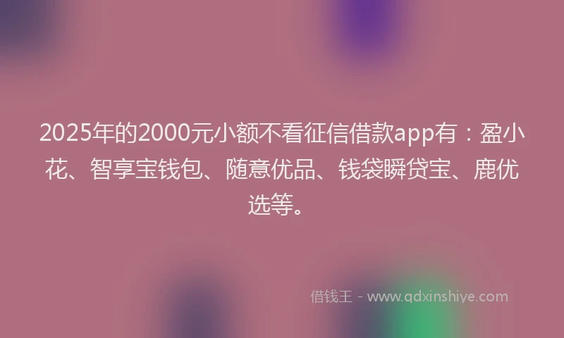 2025年的2000元小额不看征信借款app有：盈小花、智享宝钱包、随意优品、钱袋瞬贷宝、鹿优选等。