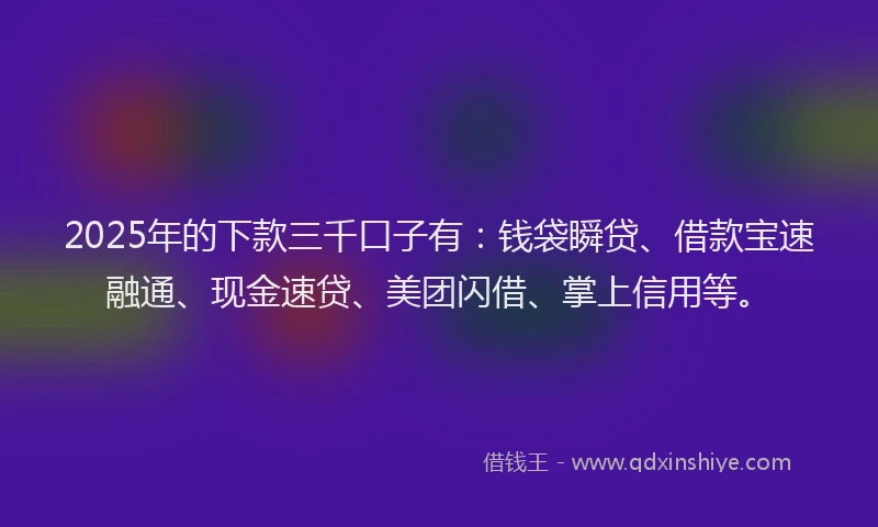 2025年的下款三千口子有：钱袋瞬贷、借款宝速融通、现金速贷、美团闪借、掌上信用等。