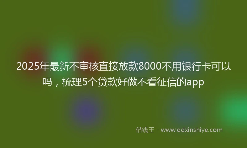 2025年最新不审核直接放款8000不用银行卡可以吗，梳理5个贷款好做不看征信的app