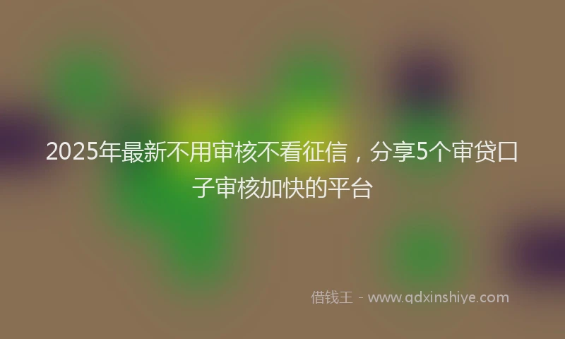 2025年最新不用审核不看征信，分享5个审贷口子审核加快的平台