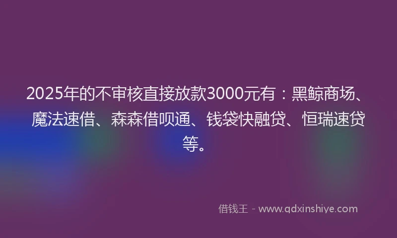 2025年的不审核直接放款3000元有：黑鲸商场、魔法速借、森森借呗通、钱袋快融贷、恒瑞速贷等。
