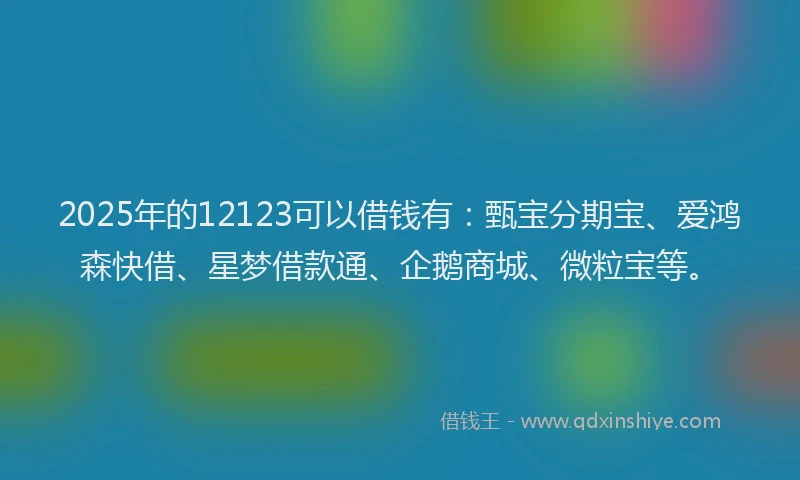 2025年的12123可以借钱有：甄宝分期宝、爱鸿森快借、星梦借款通、企鹅商城、微粒宝等。