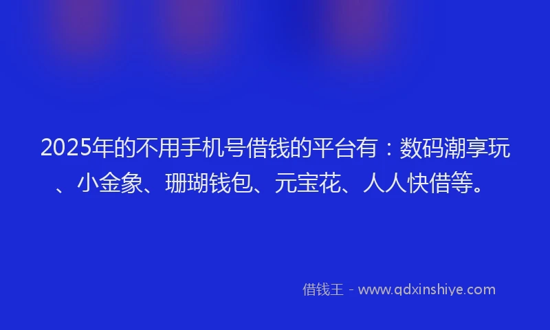 2025年的不用手机号借钱的平台有：数码潮享玩、小金象、珊瑚钱包、元宝花、人人快借等。