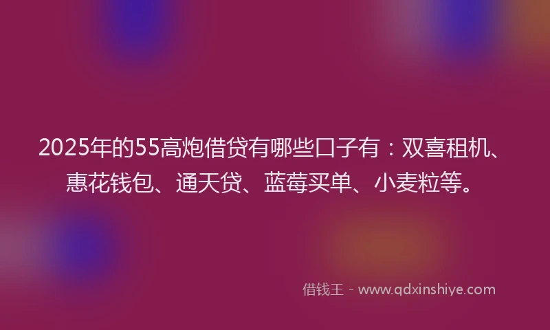 2025年的55高炮借贷有哪些口子有：双喜租机、惠花钱包、通天贷、蓝莓买单、小麦粒等。