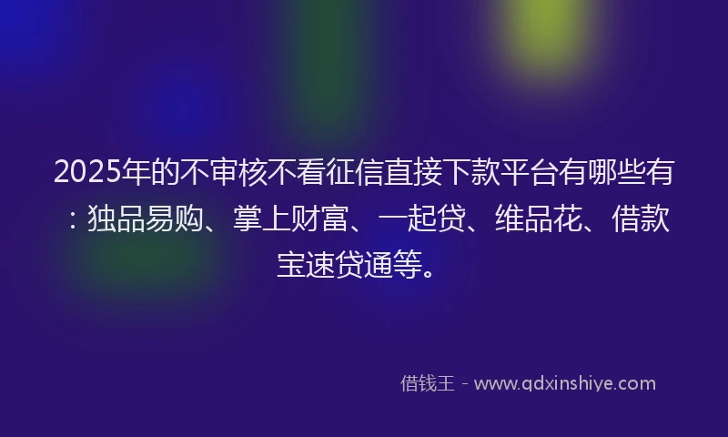 2025年的不审核不看征信直接下款平台有哪些有：独品易购、掌上财富、一起贷、维品花、借款宝速贷通等。