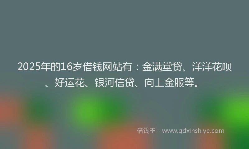 2025年的16岁借钱网站有：金满堂贷、洋洋花呗、好运花、银河信贷、向上金服等。