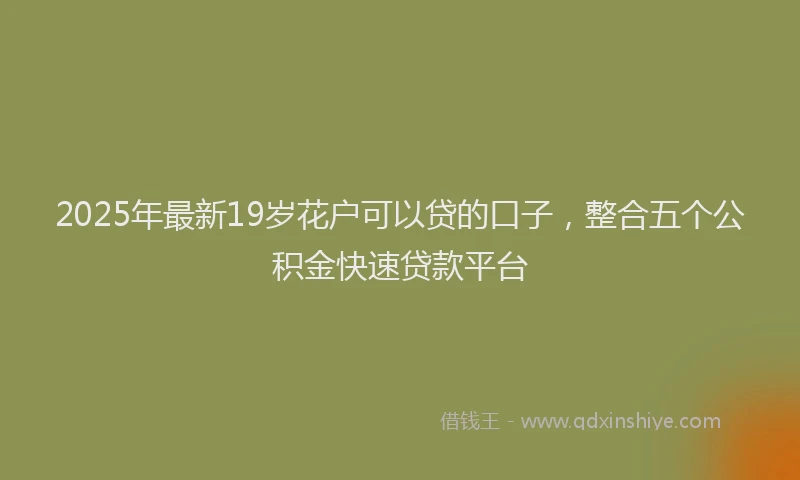 2025年最新19岁花户可以贷的口子，整合五个公积金快速贷款平台