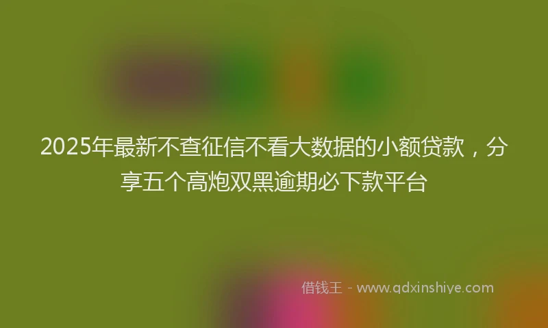 2025年最新不查征信不看大数据的小额贷款，分享五个高炮双黑逾期必下款平台