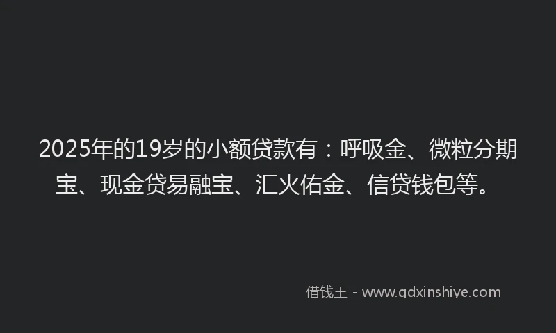 2025年的19岁的小额贷款有：呼吸金、微粒分期宝、现金贷易融宝、汇火佑金、信贷钱包等。