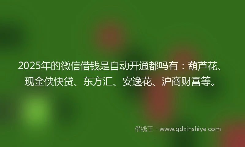 2025年的微信借钱是自动开通都吗有：葫芦花、现金侠快贷、东方汇、安逸花、沪商财富等。