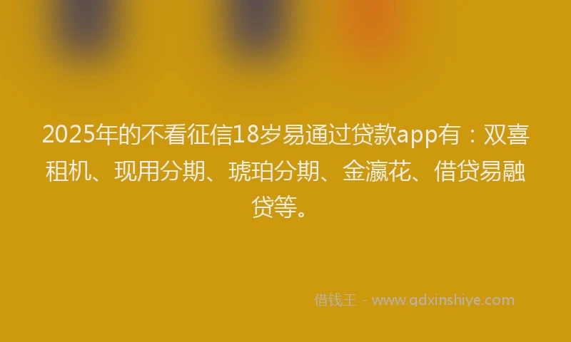 2025年的不看征信18岁易通过贷款app有：双喜租机、现用分期、琥珀分期、金瀛花、借贷易融贷等。