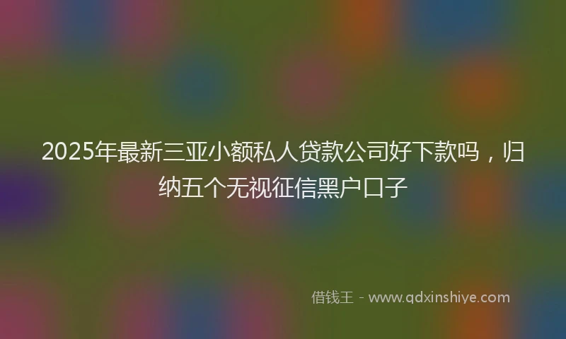 2025年最新三亚小额私人贷款公司好下款吗，归纳五个无视征信黑户口子