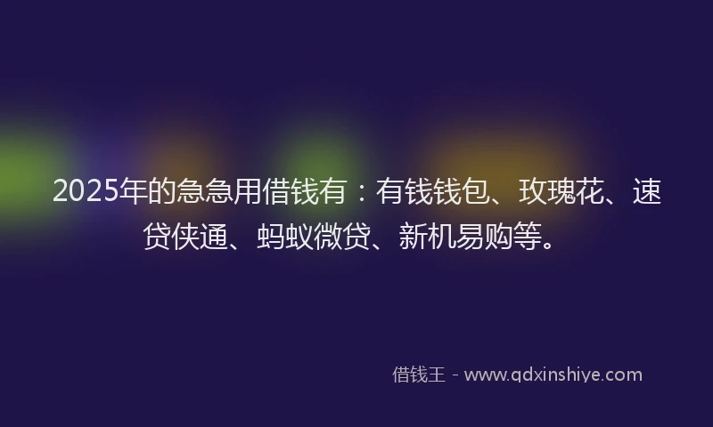 2025年的急急用借钱有：有钱钱包、玫瑰花、速贷侠通、蚂蚁微贷、新机易购等。