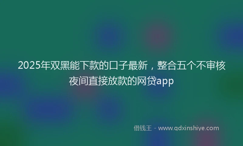 2025年双黑能下款的口子最新，整合五个不审核夜间直接放款的网贷app