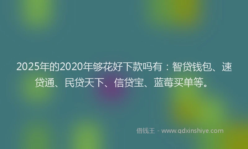 2025年的2020年够花好下款吗有：智贷钱包、速贷通、民贷天下、信贷宝、蓝莓买单等。