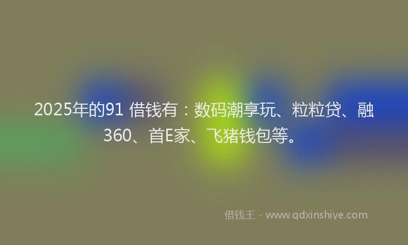 2025年的91 借钱有：数码潮享玩、粒粒贷、融360、首E家、飞猪钱包等。