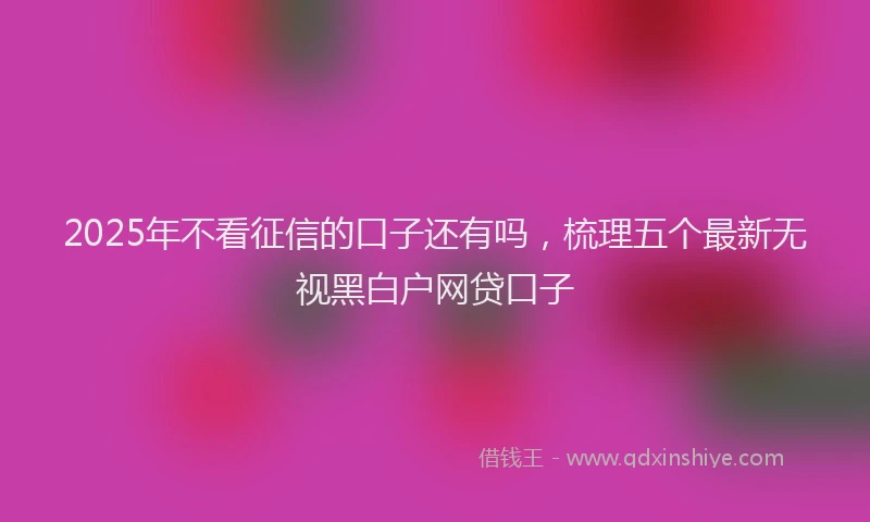 2025年不看征信的口子还有吗，梳理五个最新无视黑白户网贷口子